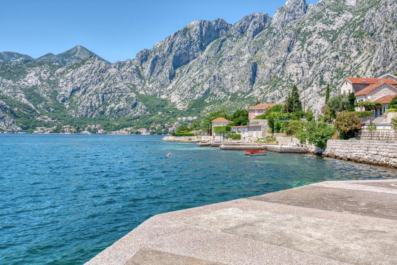 Apartment Elegant Kotor Dış mekan fotoğraf